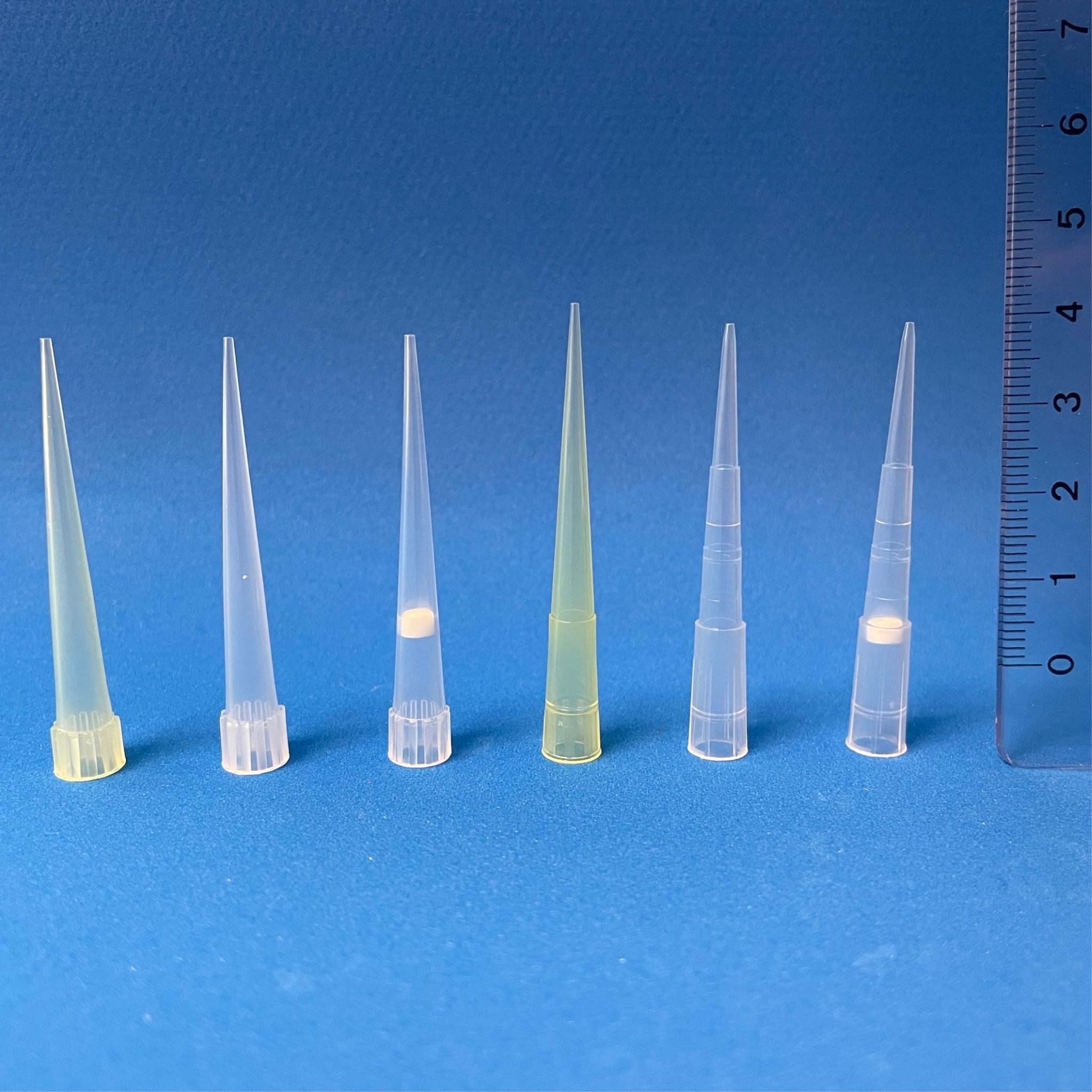 Pipettenspitzen 5 - 200 mikroliter