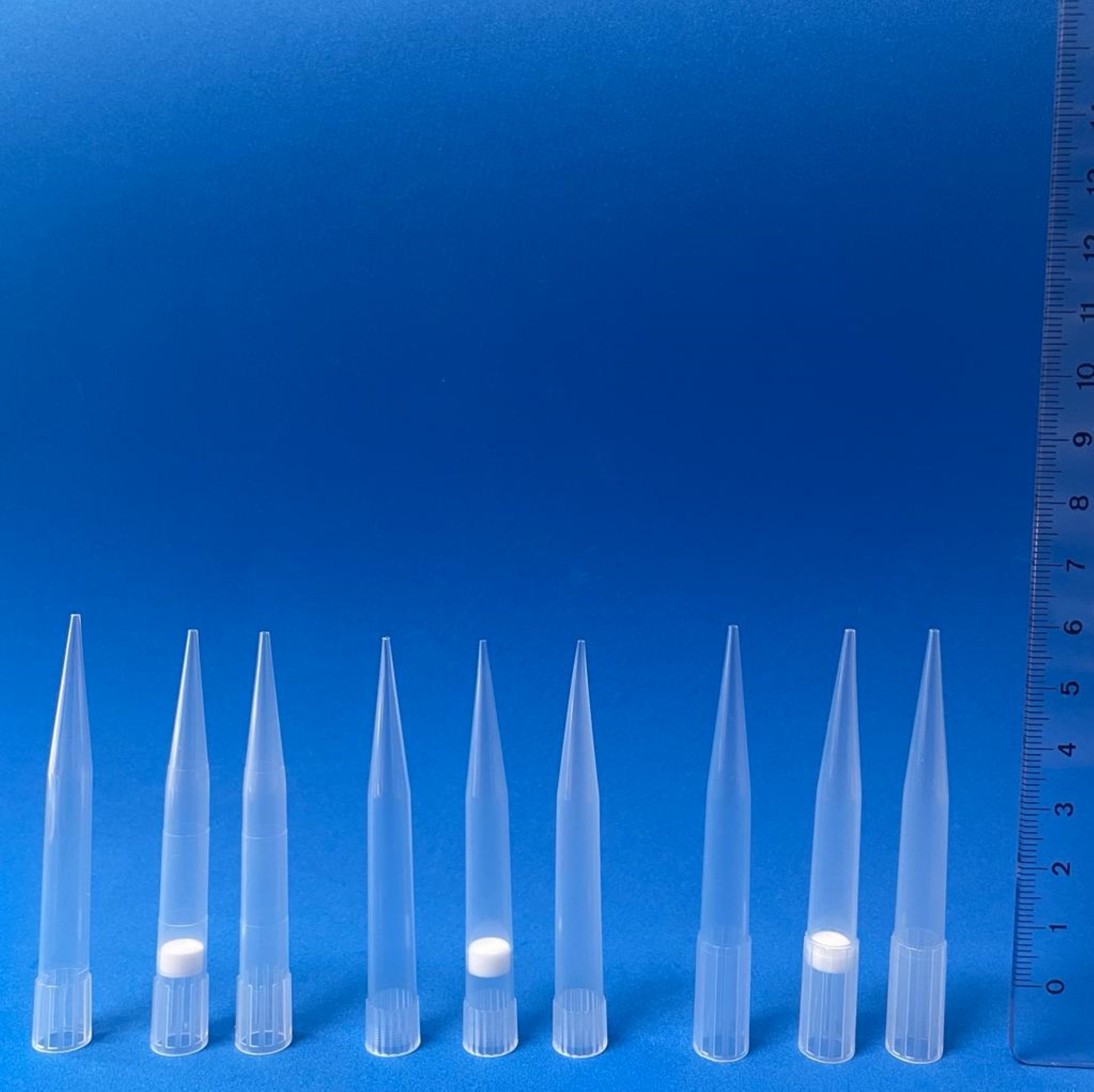 Pipettenspitzen 50 - 1.250 mikroliter